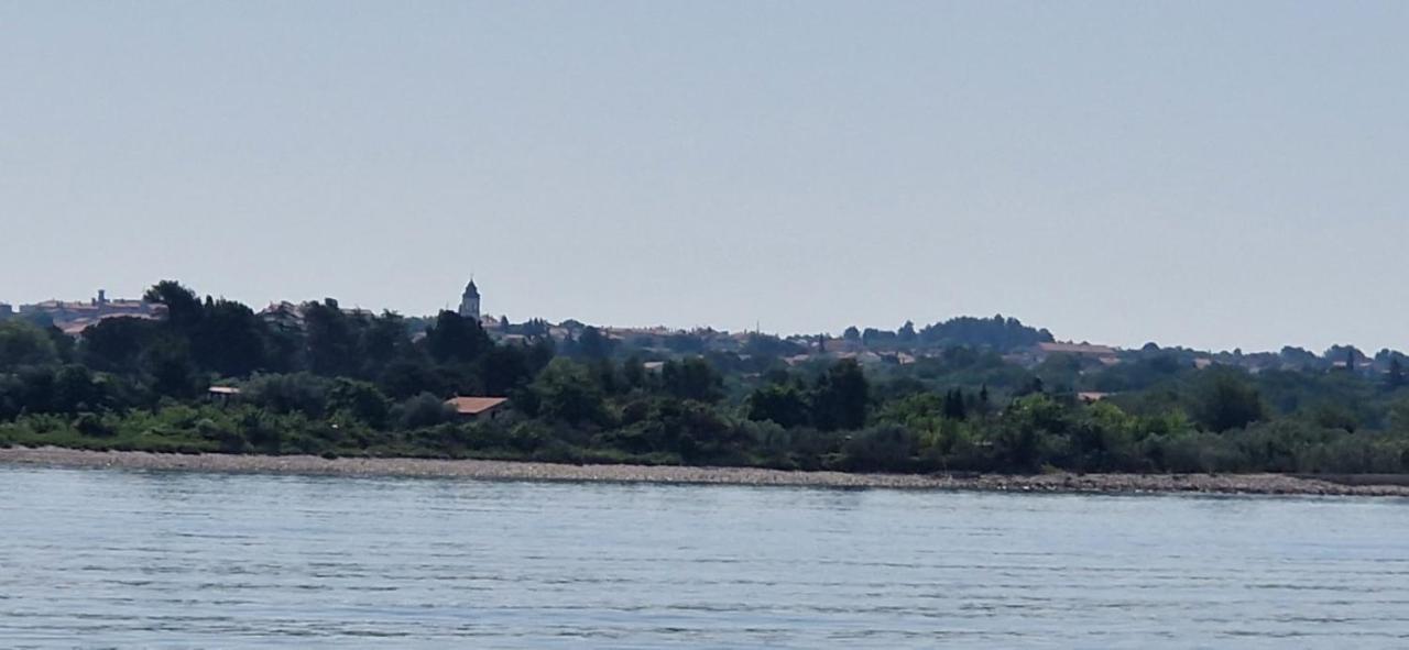 Vuceric *